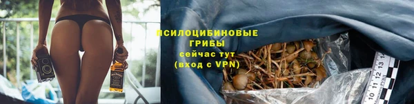 мескалин Арсеньев