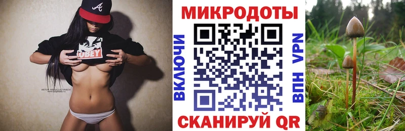 наркотики  кракен зеркало  Галлюциногенные грибы прущие грибы  Магас 