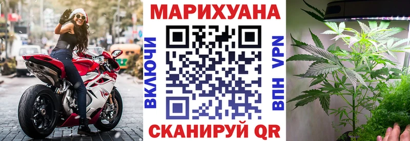 Марихуана гибрид  Магас 